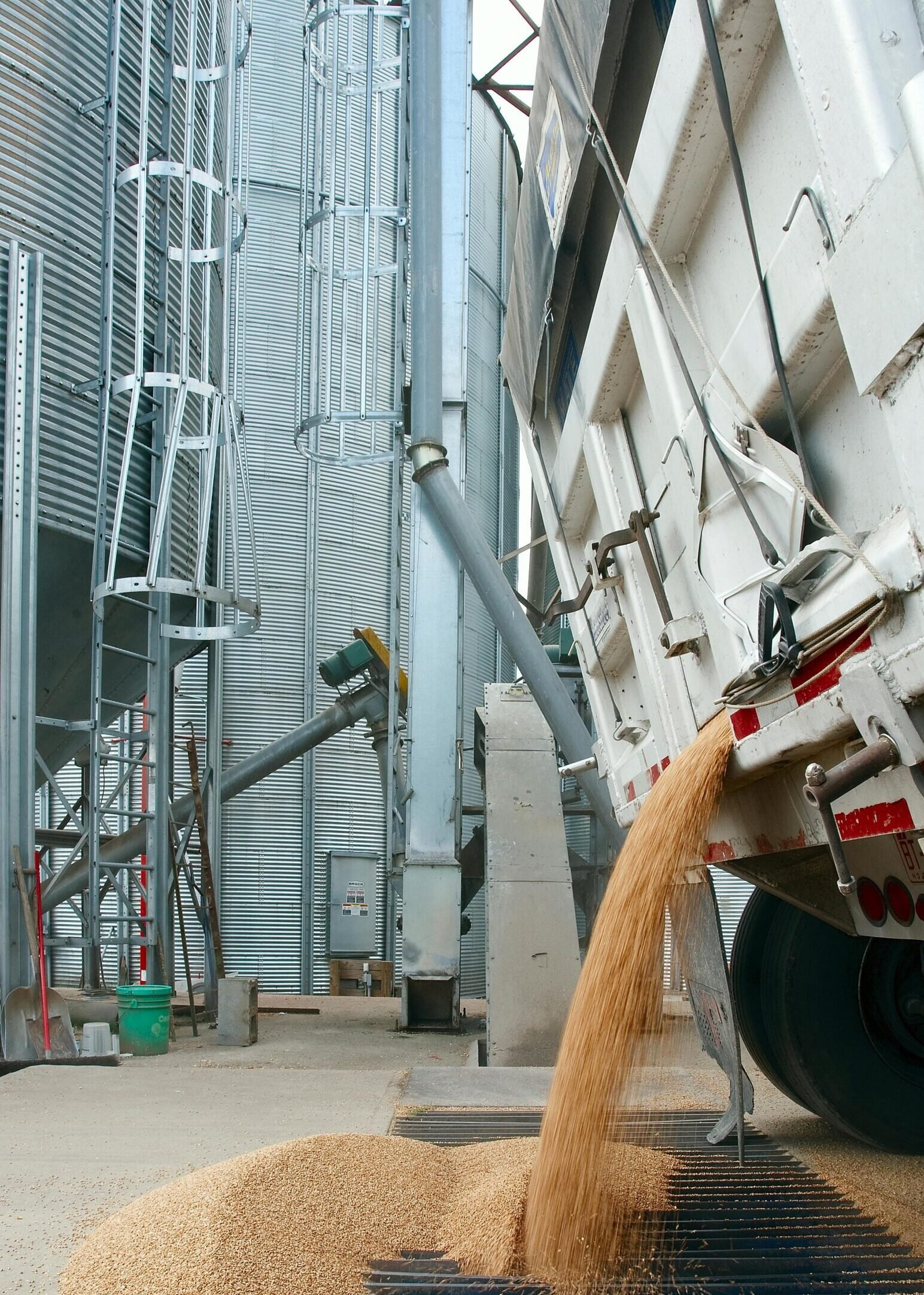Grain Silo & Handling Equipment Truck unloading wheat at industrial grain facility. Vertical shot emphasizing storage silos.